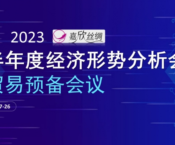 贸易总额稳定，，，，，，，贸易质量提升 多多28丝绸召开2023半年度经济形势分析会贸易预备会议